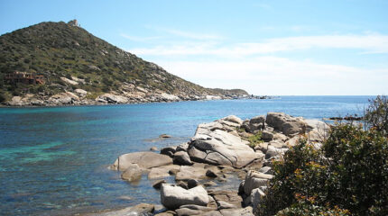 800px-west_side_of_cape_carbonara